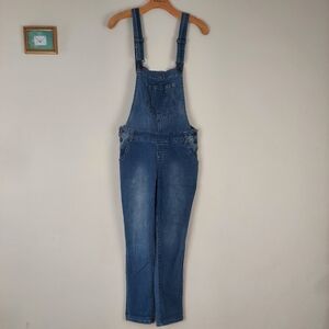 Wallflower Women's Blue Denim Overalls